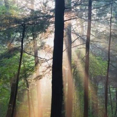 animert_gif_2